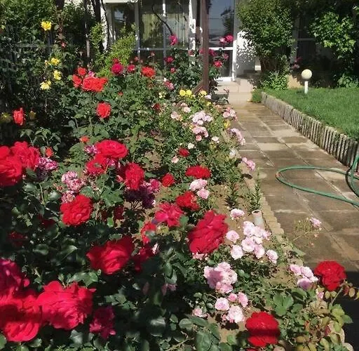 яна * Szveti Vlasz