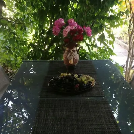 яна * Свети Влас