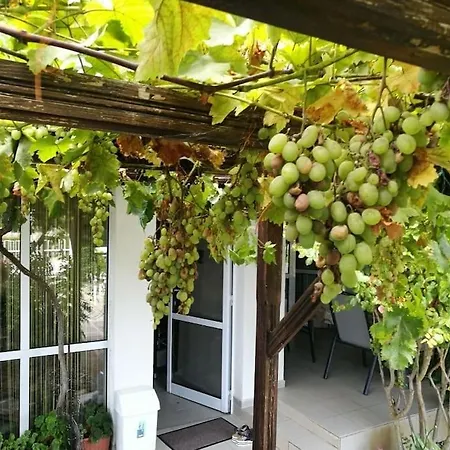 яна Ваканционна къща Свети Влас