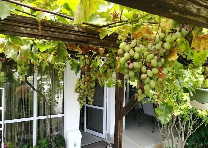 яна Ваканционна къща Свети Влас